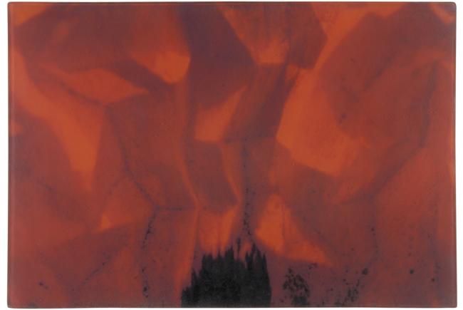 Ossipov_Carol_Le_pavot