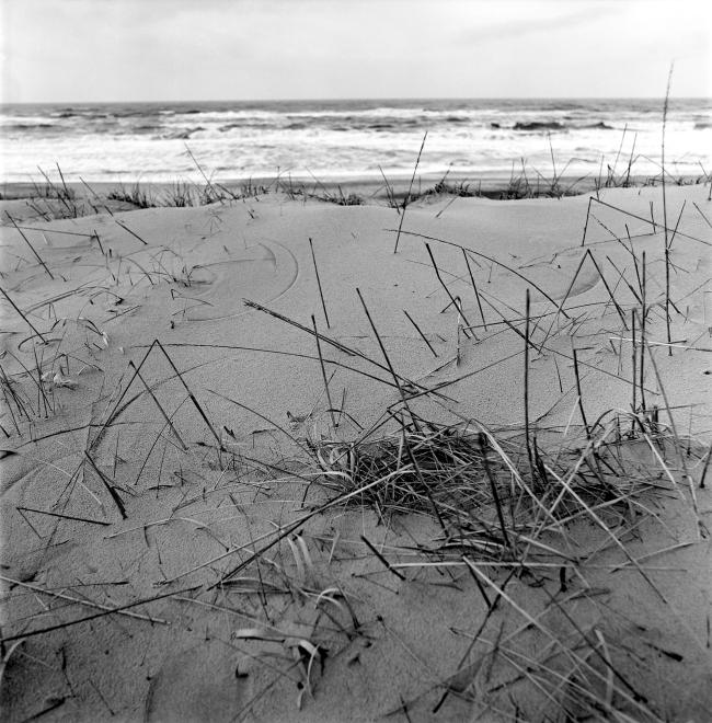 Mer de Nord, Danemark