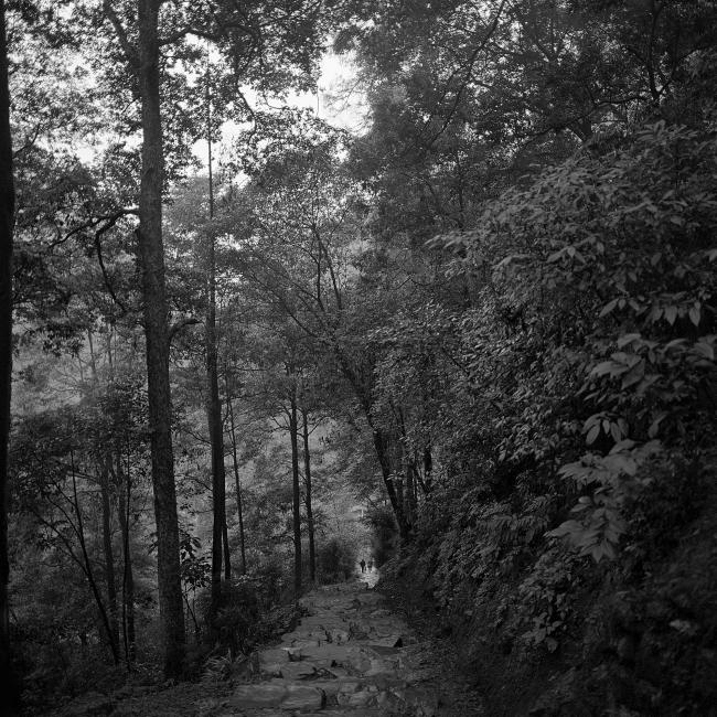 Mount Emeï Sichuan, Chine